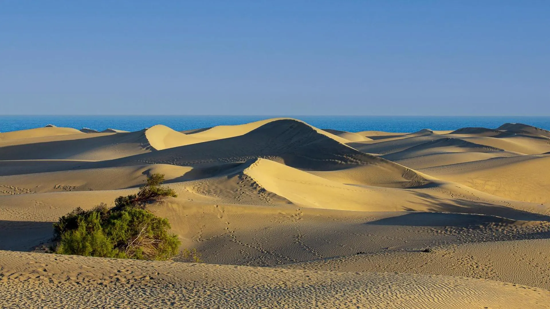 Las Camelias 215 By Pride Holiday Rentals Maspalomas