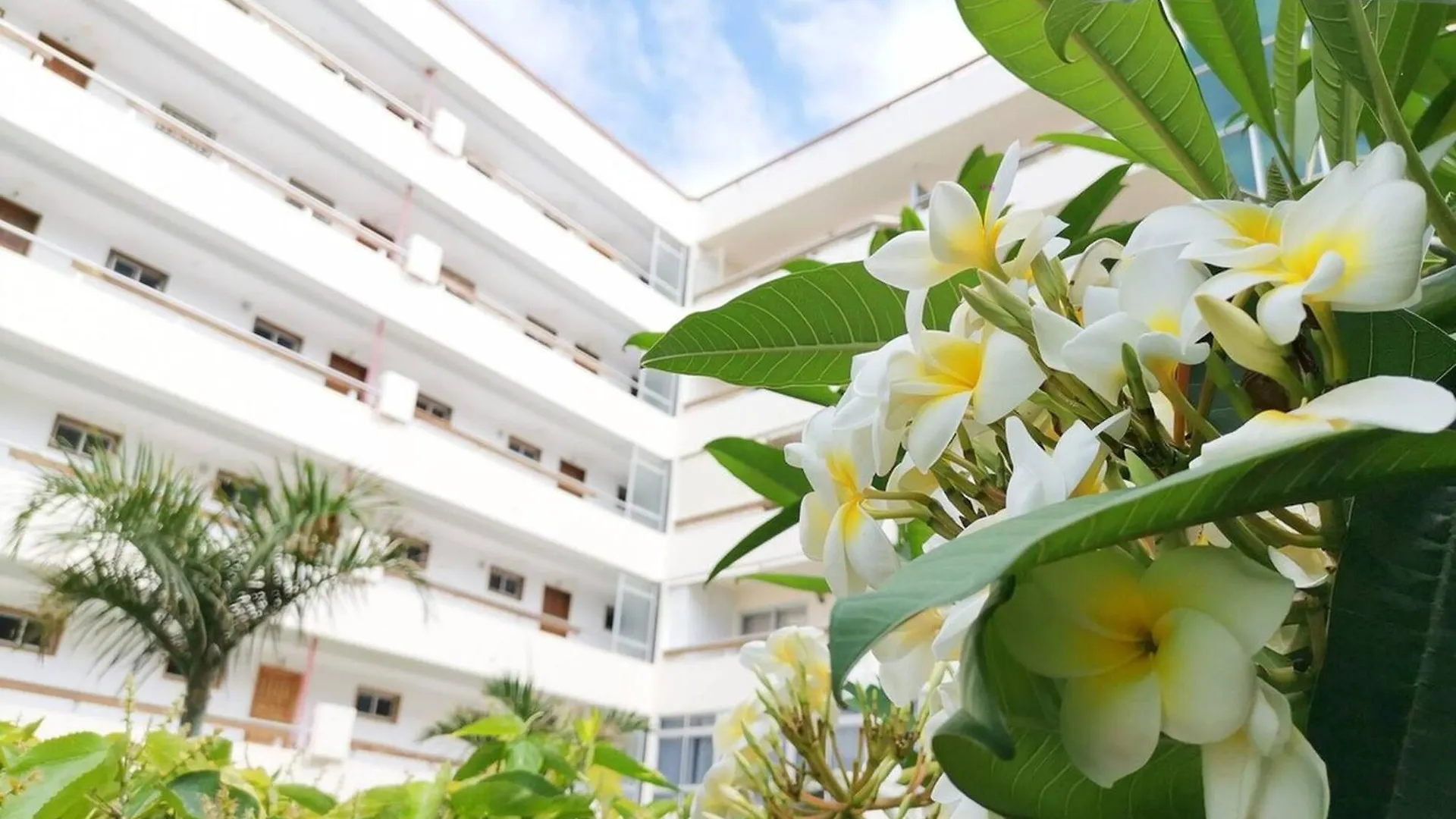 Apartment Las Camelias 215 By Pride Holiday Rentals Maspalomas  Spanien